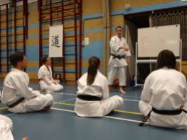 Tim Shaw teaching Wado principles on a course in Holland.