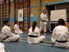 Tim Shaw teaching Wado principles on a course in Holland.