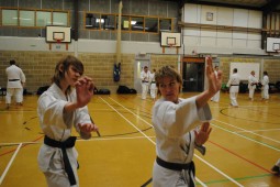 2011 - Colchester. Working on preparation for Kumite.