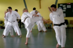2008 - Special Kumite Course at Woodham Walter. Chris Mortimer & Steve Thain, Kihon Gumite Nihonme.