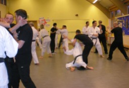 2008 - Joint seminar between Shikukai Chelmsford students and the UK Wing Chun Association. Group practice, control & counter into throw.