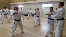Naihanchi on the 2017 Winter Course hosted by Shikukai Chelmsford.
